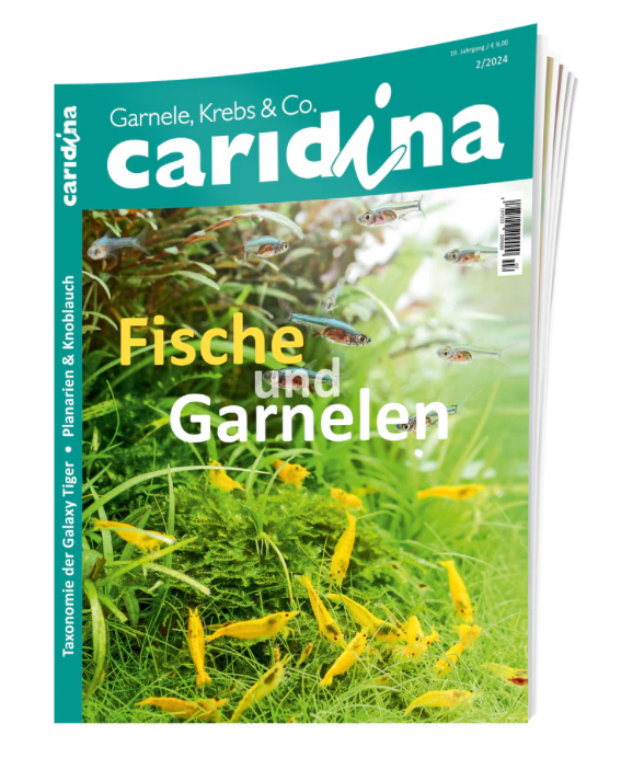 caridina 2/2024 | Zeitschrift
