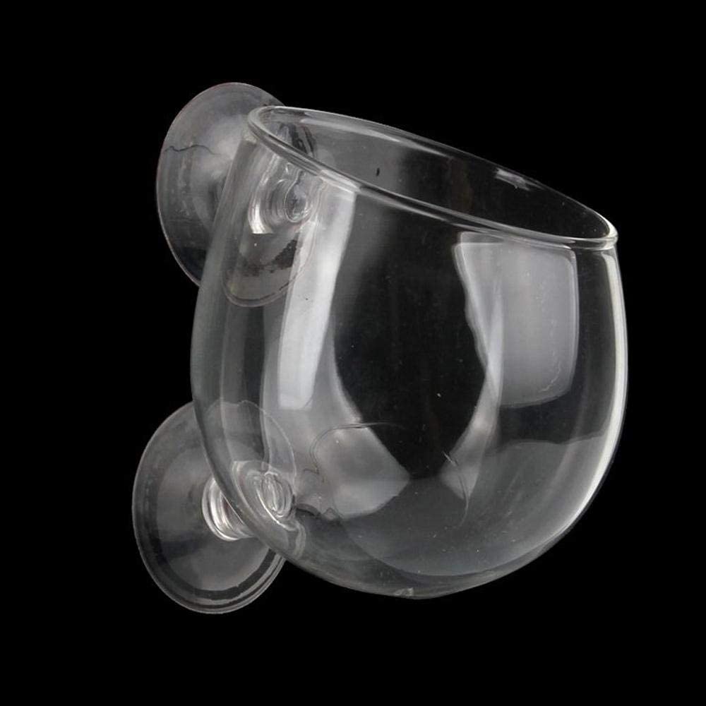 Glas Cup Topf Mit 2 X SaugnäPfe FüR Aquarium Pflanzschale Glas Deko Plant Pot - GarnelenTv-Shop
Glas Cup Topf für Aquarium mit Saugnäpfen