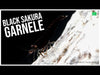 Video: Black / Schwarze Sakura Garnele