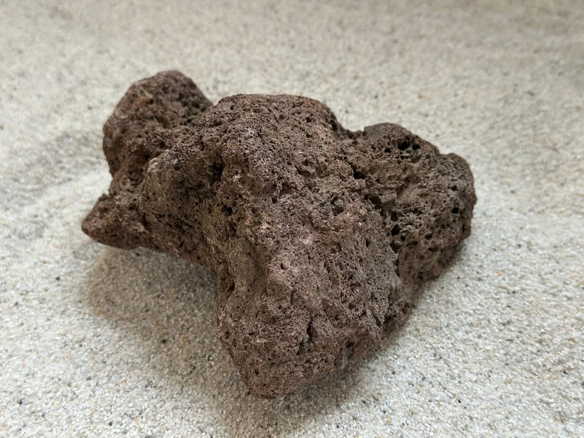 Lava Stein - 1kg - GarnelenTv-Shop
Lava Stein 1kg für Aquarien – Natürliche Dekoration und Filtration