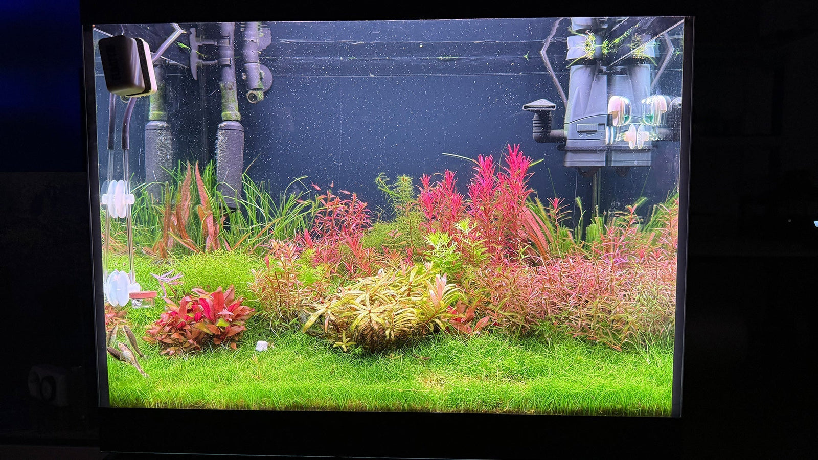 Aquarium Zubehör und Trends im Jahre 2026 / 2027