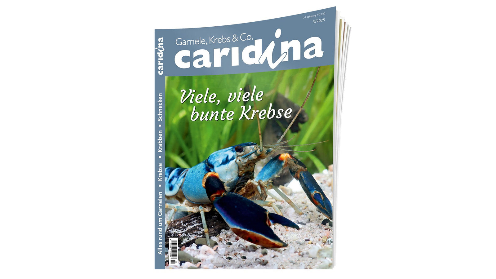 caridina Zeitschrift über Wirbellose