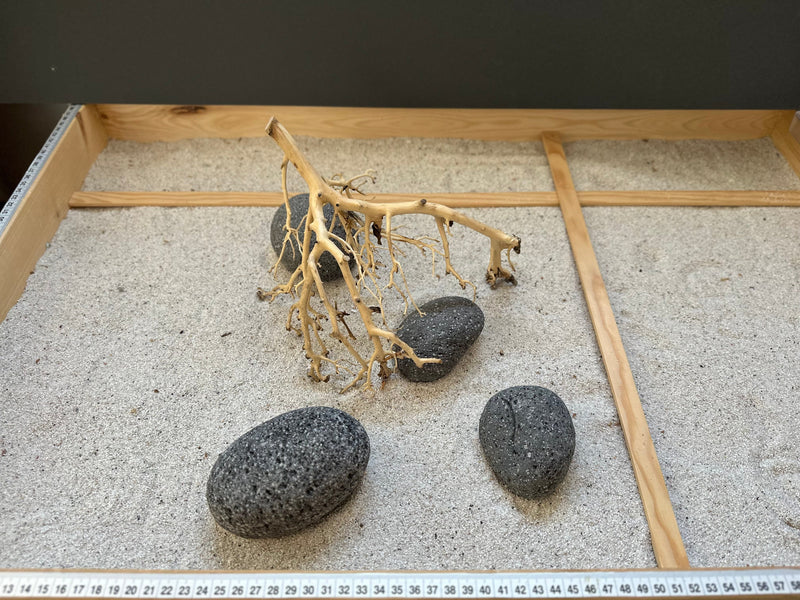 Hardscape Sets