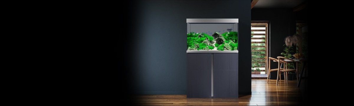 Fluval Aquarien - GarnelenTv-Shop