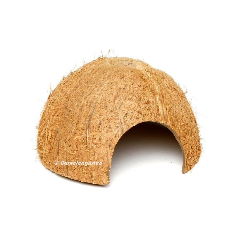 Höhlen und Verstecke