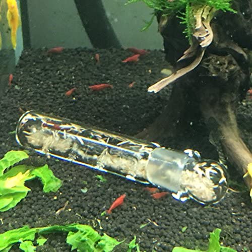 Planarienfalle fürs Aquarium
