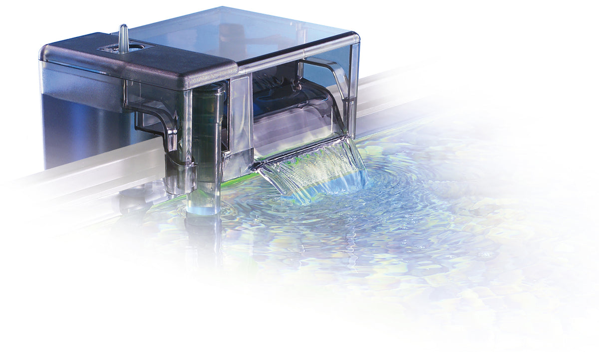Fluval Edge Aquarium mit klarer Rundumsicht