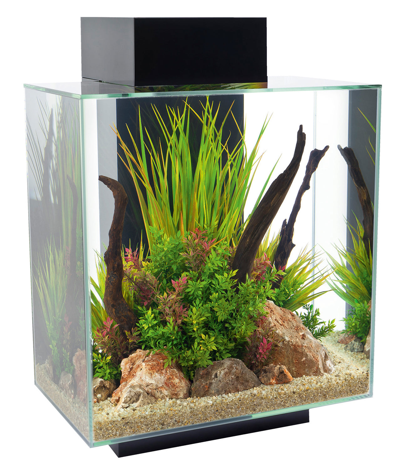 Elegantes Fluval Edge Aquarium für Zuhause & Büro