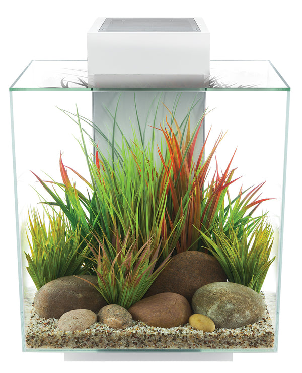 Fluval Edge 2.0 mit leistungsstarkem 3-Stufen-Filter