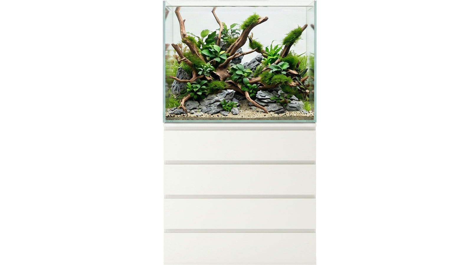 Schickes Aquascape Aquarium auf einem IKEA Malm Unterschrank mit Wurzeln und Steinen.
