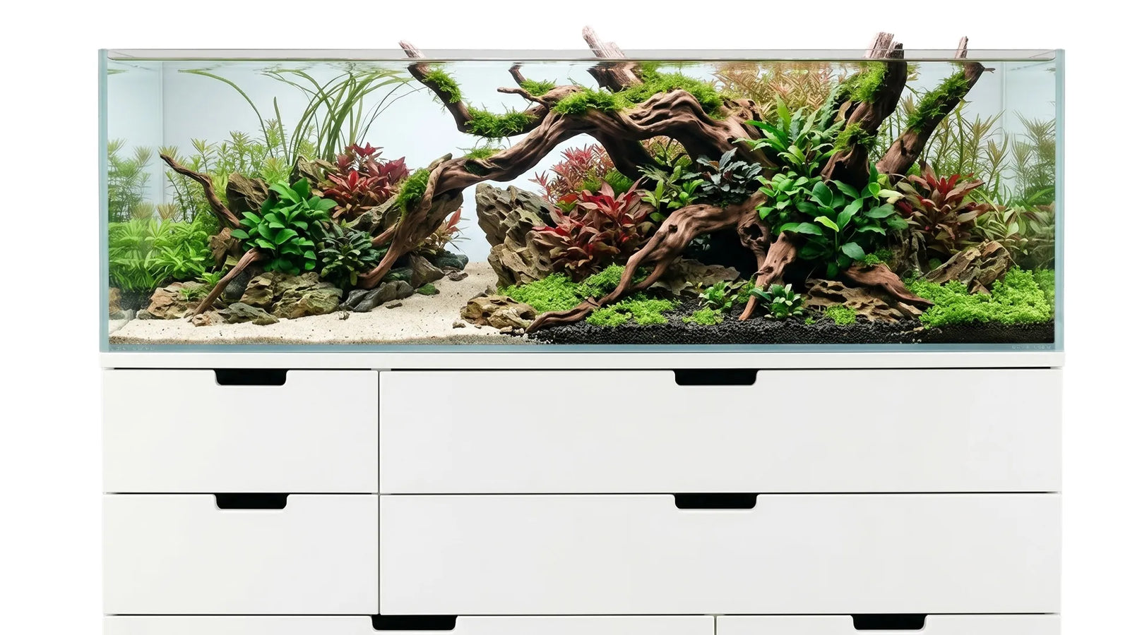 Aquascaping Aquarium mit einem IKEA Unterschrank für Fische