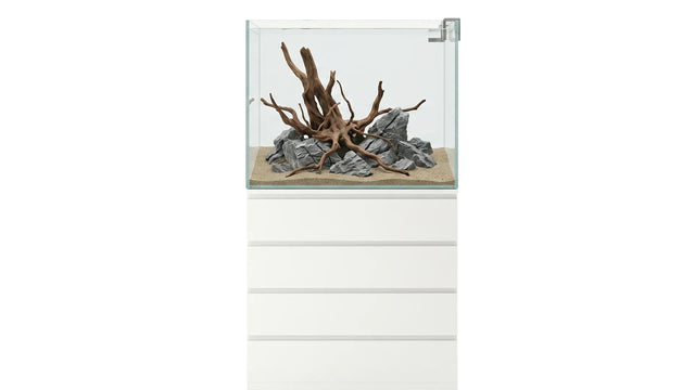 Aquascape Aquarium in einem 190L Aquarium