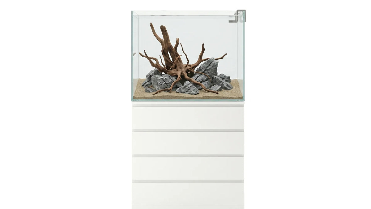 Aquascape Aquarium in einem 190L Aquarium
