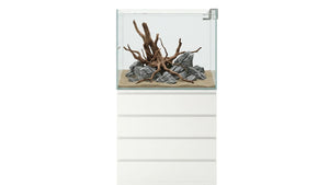 Aquascape Aquarium in einem 190L Aquarium