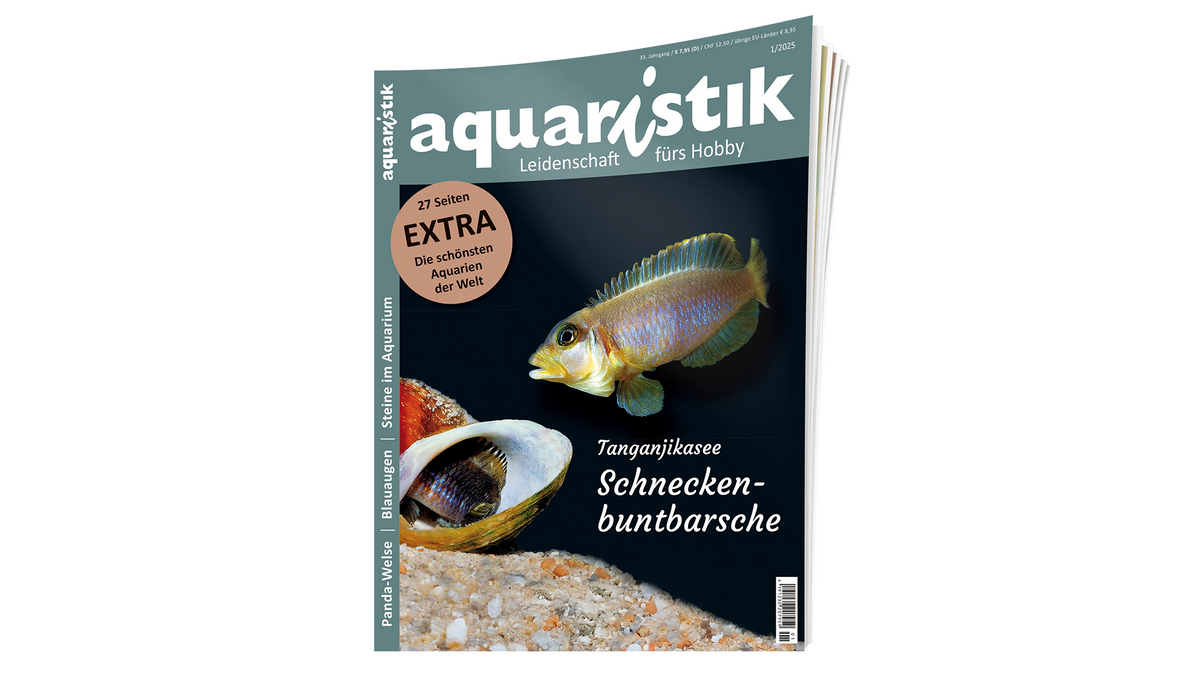 aquaristik 2025/1 | Zeitschrift