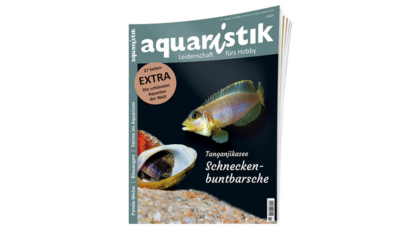 aquaristik 2025/1 | Zeitschrift