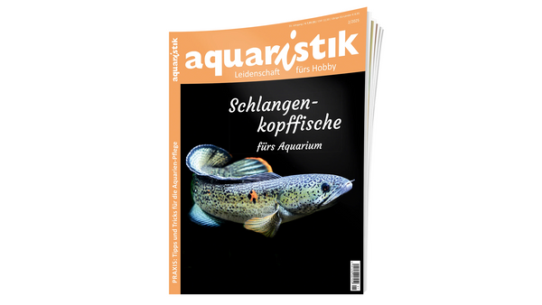 aquaristik 2025/2 | Zeitschrift