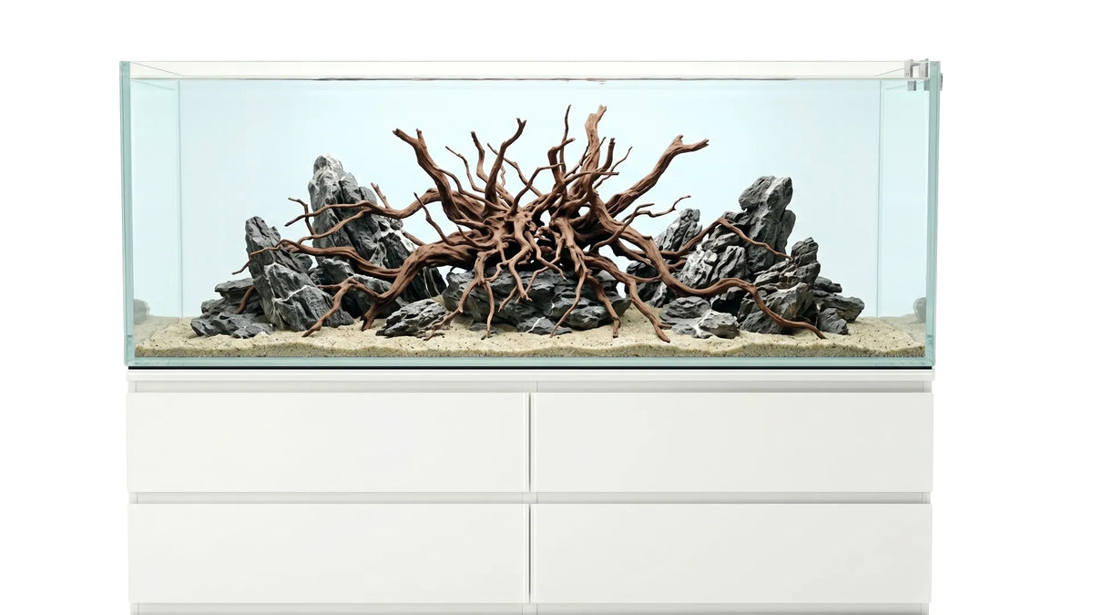 Schönes Aquascape Aquarium in einem 226L Aquarium 160x47x30 cm IKEA Malm