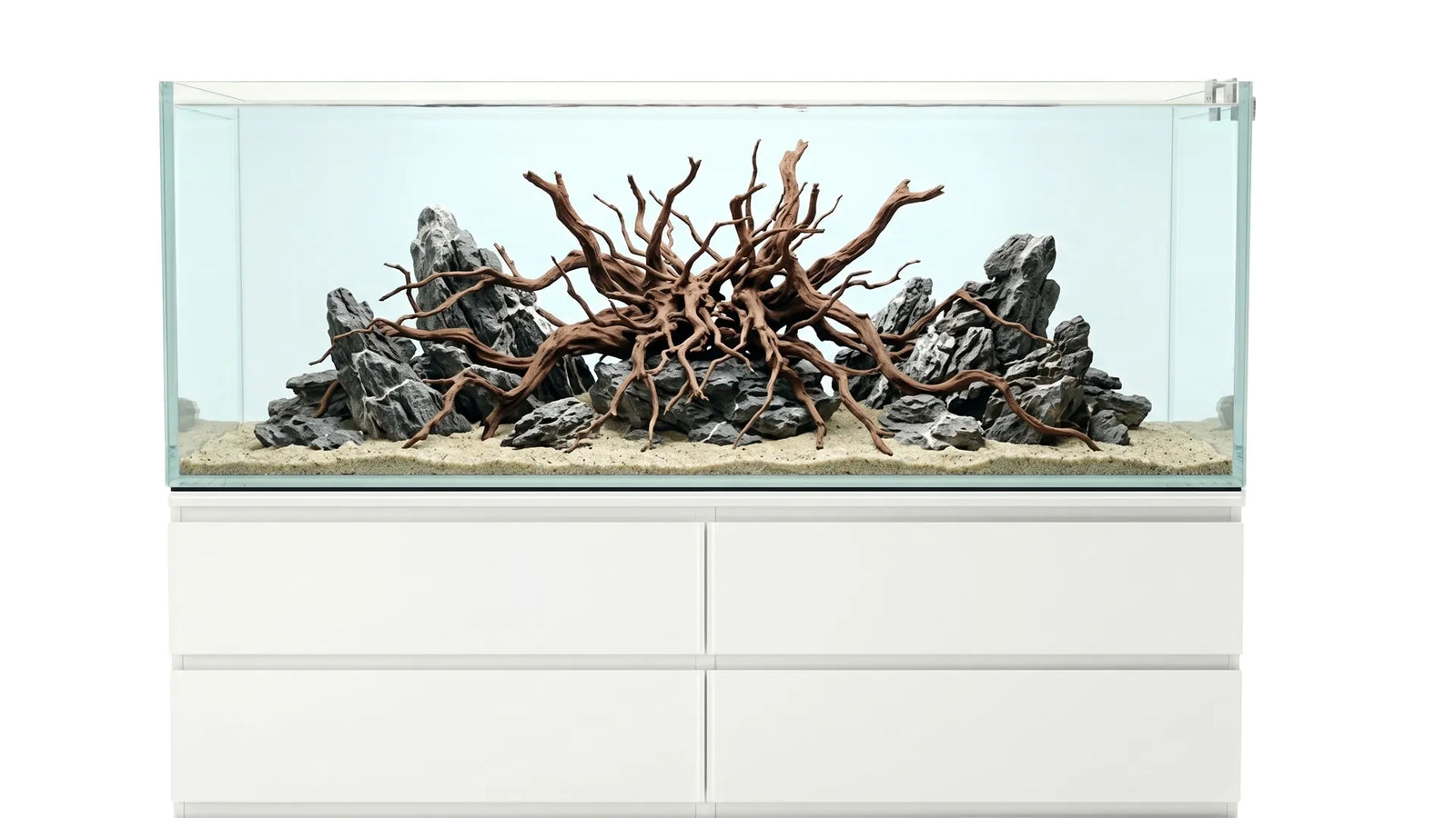 Schönes Aquascape Aquarium in einem 226L Aquarium 160x47x30 cm IKEA Malm