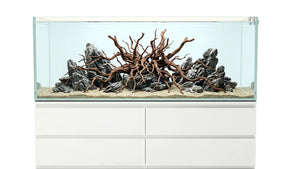 Schönes Aquascape Aquarium in einem 226L Aquarium 160x47x30 cm IKEA Malm