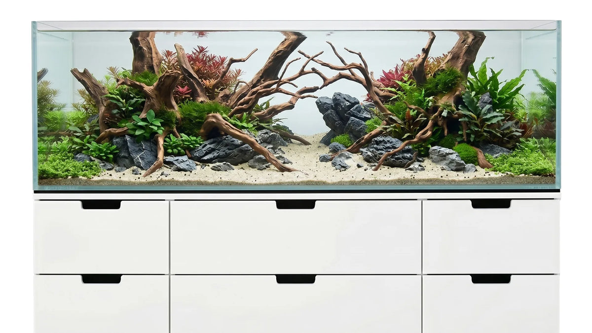 Großes Aquascape Aquarium zum nachbauen mit Wurzeln und Steinen