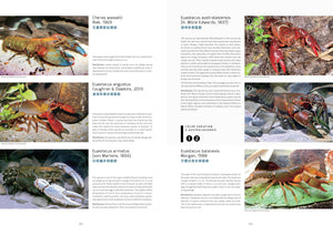 Freshwater Crayfish of the World Buch Lukhaup Pekny Phing Krebse Dähne Verlag