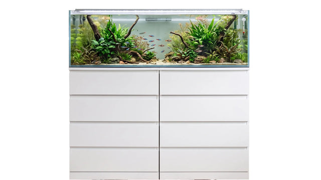277 Liter Aquarium 140x39,5x50 cm passend für IKEA Kullen mit langer Glasfront und viel Schwimmraum für Zierfische