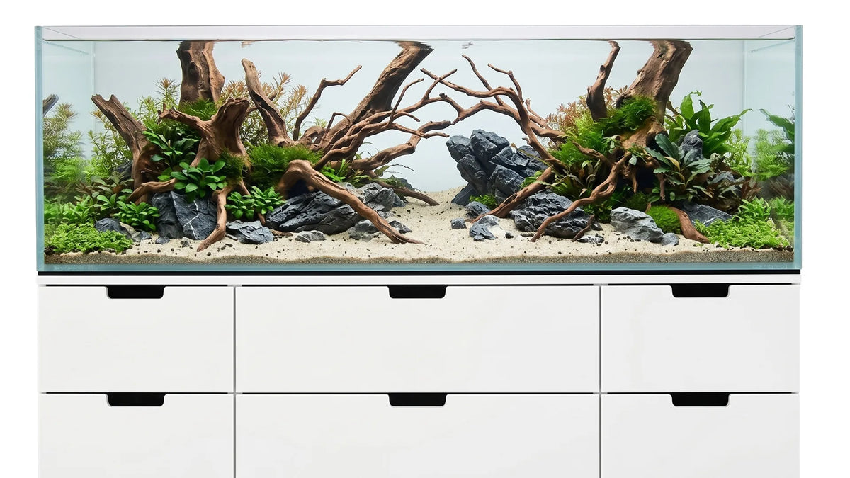 Aquascape Aquarium auf einem IKEA Regal.