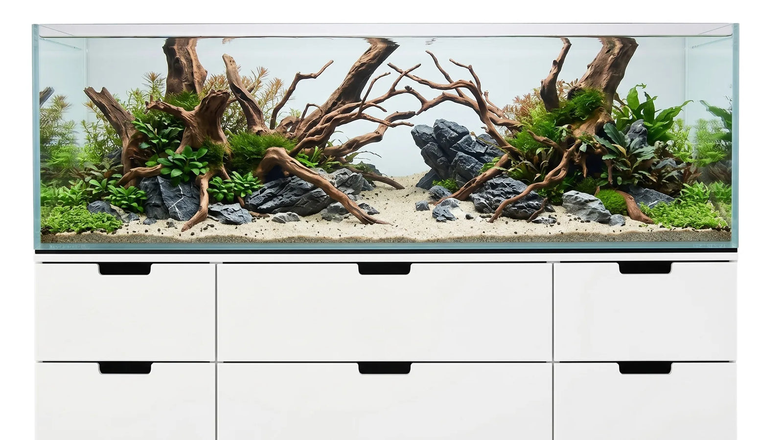 Aquascape Aquarium auf einem IKEA Regal.