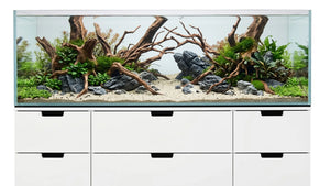 Aquascape Aquarium auf einem IKEA Regal.