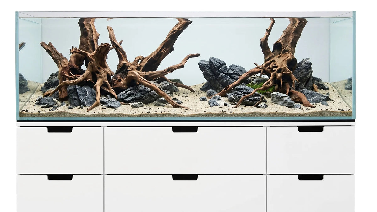 376L Aquarium 160x47x50 cm IKEA Nordli Aquascape Aquarium mit Wurzelholz