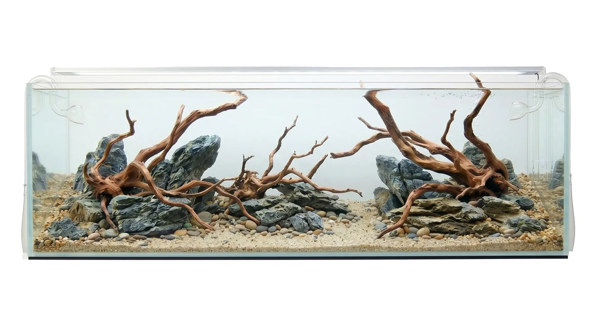 Eingerichtetes Aquarium mit Wurzeln, Steinen und Sand