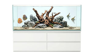 380L Aquarium 160x48x50 cm IKEA Malm eingerichtet mit Hardscape und Zierfischen