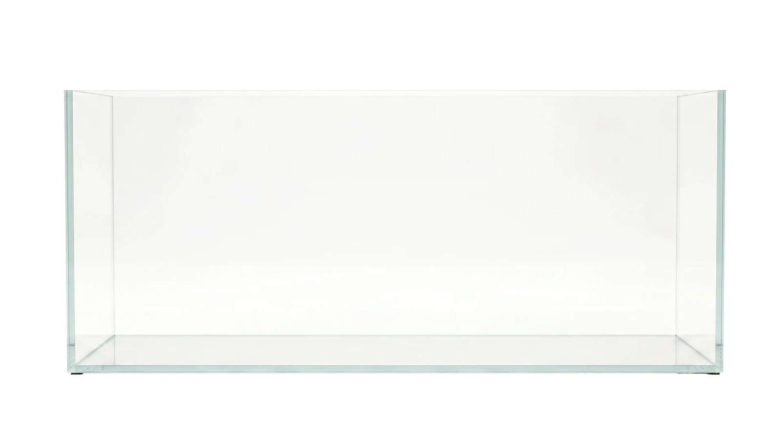 Schönes Aquascape Aquarium in einem 226L Aquarium 160x47x30 cm IKEA Malm