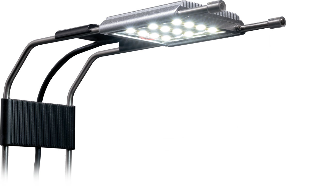 Dennerle LED Lampe mit Sonnenkringel-Effekt