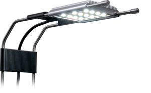 Dennerle LED Lampe mit Sonnenkringel-Effekt