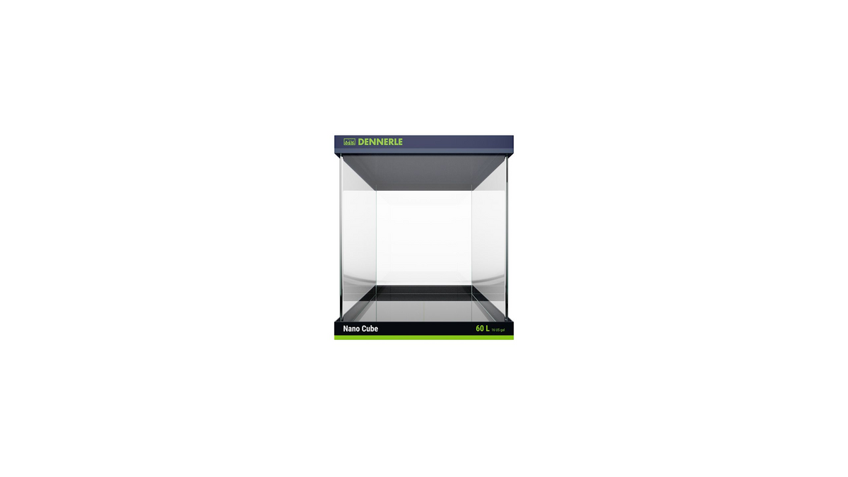 Nano Cube mit Pflanzen und Garnelen eingerichtet