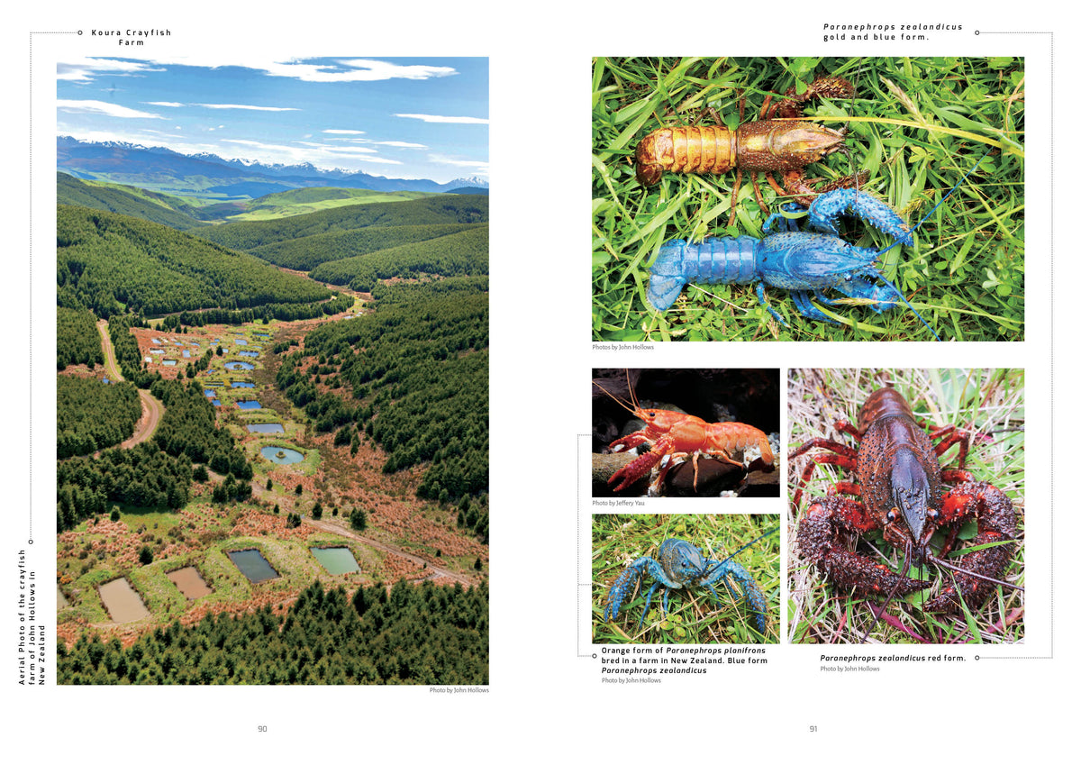 Freshwater Crayfish of the World Buch Lukhaup Pekny Phing Krebse Dähne Verlag