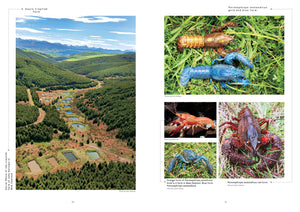 Freshwater Crayfish of the World Buch Lukhaup Pekny Phing Krebse Dähne Verlag