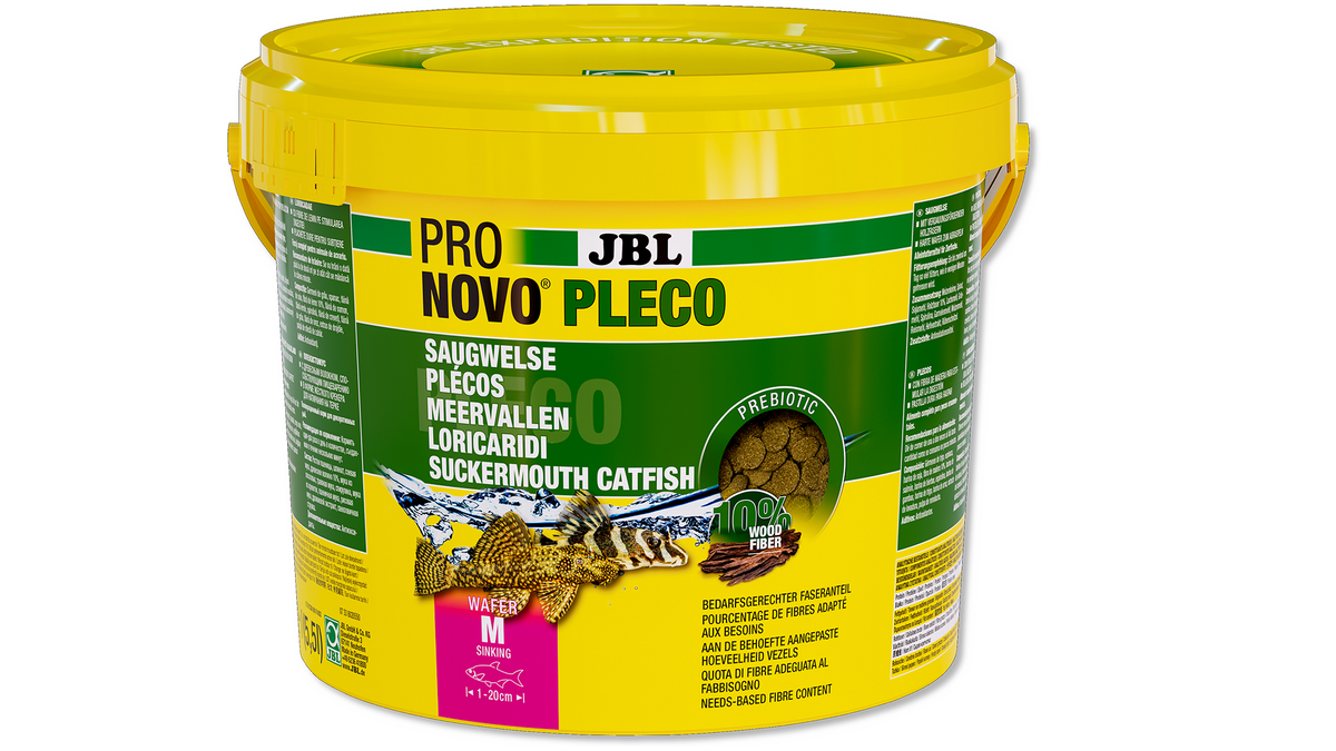 Saugwelse beim Fressen von JBL PRONOVO Wafers