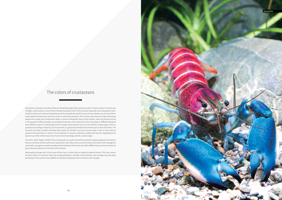 Freshwater Crayfish of the World Buch Lukhaup Pekny Phing Krebse Dähne Verlag
