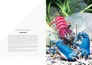 Freshwater Crayfish of the World Buch Lukhaup Pekny Phing Krebse Dähne Verlag
