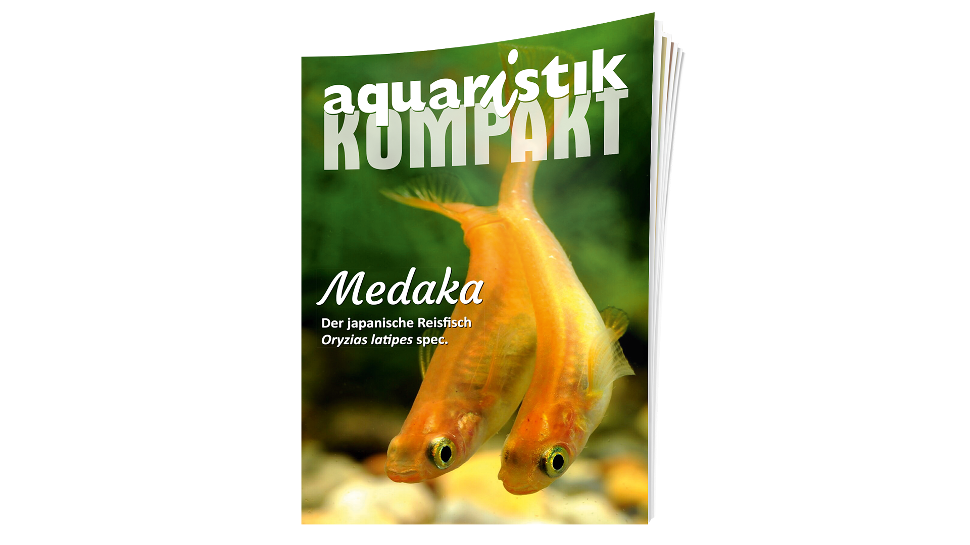 Medaka Aquaristik KOMPAKT Magazin Cover