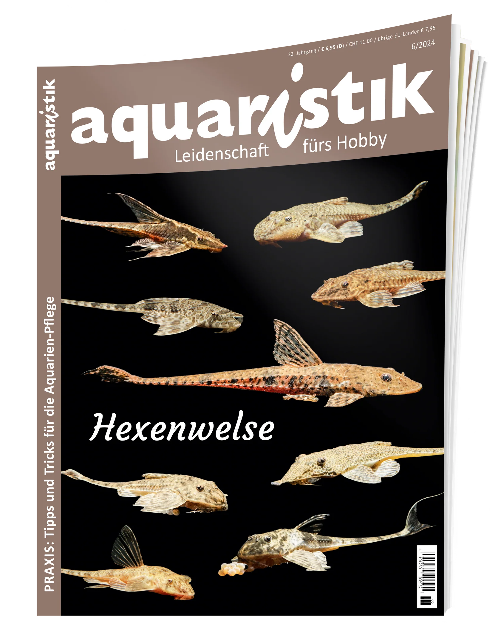 Aquaristik Zeitschrift 2024/6 – Hexenwelse, Goodeiden & Aquascaping