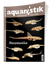 Aquaristik Zeitschrift 2024/6 – Hexenwelse, Goodeiden & Aquascaping