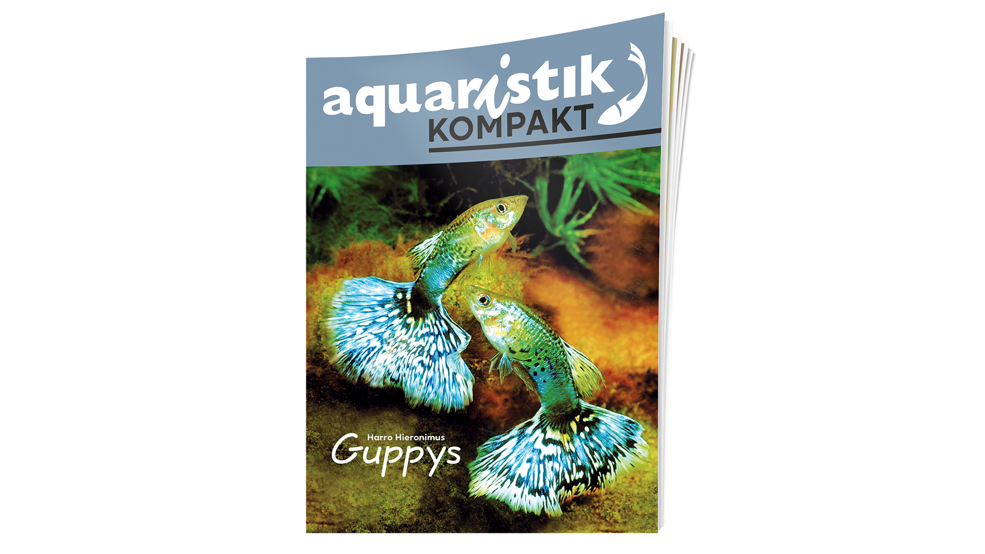 Guppys -  Harro Hieronimus | Magazin