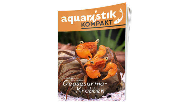 Geosesarma-Krabben - Monika Rademacher und Oliver  Mengedoht | aquaristik KOMPAKT