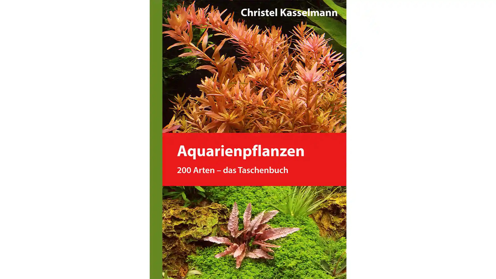 Aquarienpflanzen Taschenbuch Christel Kasselmann 200 Arten Dähne Verlag