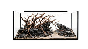 Aquascape Aquarium in einem Aquarium 100x40x30cm (LxTxH) 120l