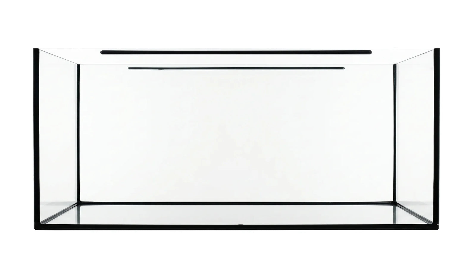 Aquarium 100x50x40cm – 200L Glasbecken mit schwarzen Silikonfugen
240L Aquarium 120x50x40cm mit schwarzem Silikon
